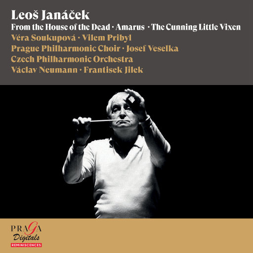 中国黄色绿像少女大片
